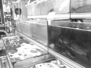 The price of freshwater fish in Jinan rose by 50% in two months.