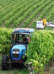Agricultural Mechanization 2013 progresses steadily