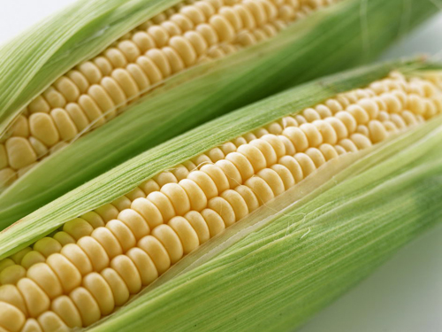 New corn prices "recessed"