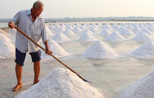 Domestic raw salt market prices fell slightly