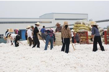 High-quality cotton lack of spot prices