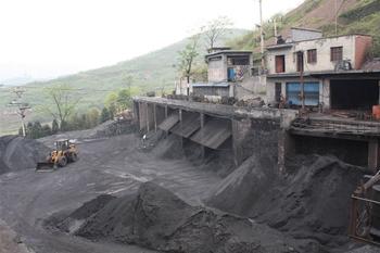 Coal Investment Strategy in 2013