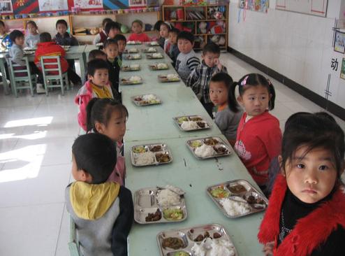 School cafeteria food safety special inspection