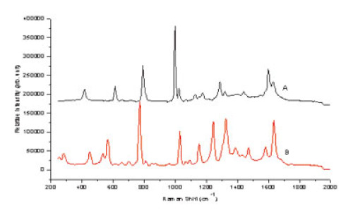 Raman Sensing Test Paper