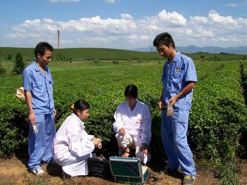Guangdong vigorously promotes soil testing and formula fertilization