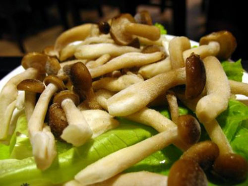 Qinhuangdao: Small mushrooms prop up the big industry