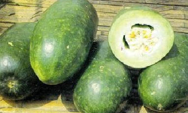 The efficacy of wax gourd