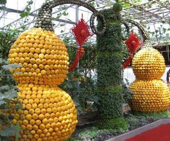 2013 Shouguang Vegetable Expo Showcases Technology