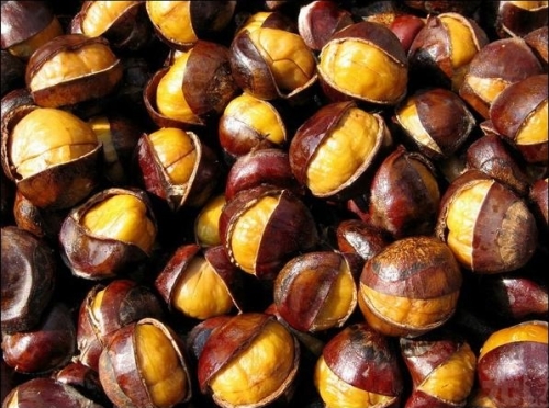 How to choose chestnut