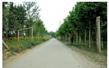 Problems and Countermeasures of Rural Highway in Dunhua City