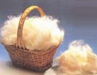 Mohair