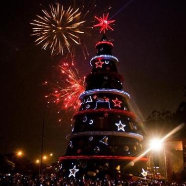 Giant Christmas tree debuts in Sao Paulo LED shines in Brazil