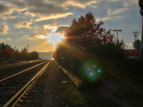 New railway investment totaled nearly 900 billion yuan during the year