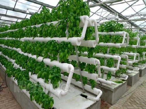 Agricultural LED lighting industry development speed strategy