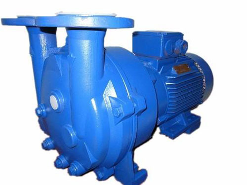 Cycloidal vacuum pump features