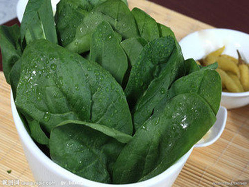 Eat spinach red root must keep picking pineapple green leaves very sweet