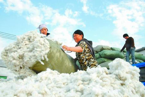 India may complete its cotton export target ahead of schedule