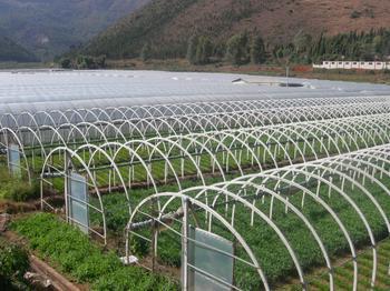 Central government finances 2.579 billion yuan to support the development of agricultural industrialization