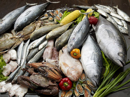 Canada changes fish export certification requirements