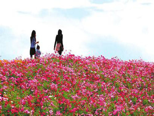 Often smell the benefits of flowers