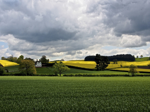 Family farms should have independent legal status