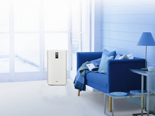 Air purifier is popular at the time