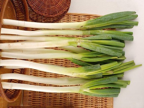 How to avoid "high price green onion" succession "garlic you"