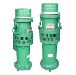 Asia Pacific Pump Valves Successfully Developed a Kilowatt Large Submersible Pump