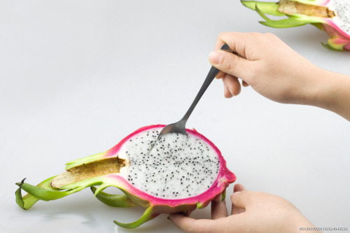 Jiaxing dragon fruit enters picking season