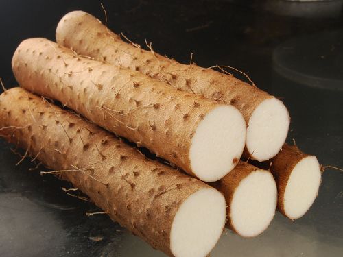 Yam's Needed Fertilizer Characteristics and Fertilization Technology