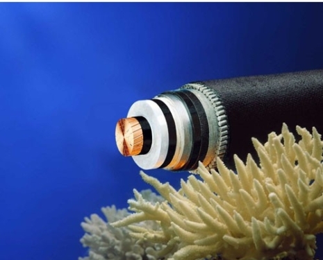 Analysis of Current Status of China's Submarine Cable