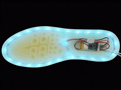 2015 Smart Shoes Industry Trend Analysis