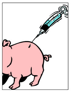 "Gum injection pig" available Pork is really hurt