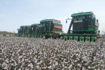 The "Opinions" of the Ministry of Agriculture guide the mechanized production of cotton