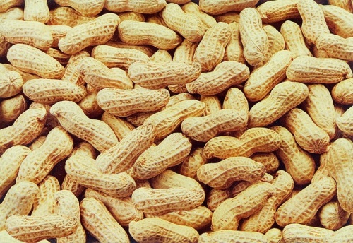 Clever eating peanuts to lose weight