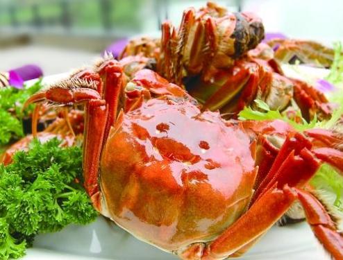 Eight Notes for Edible Crabs