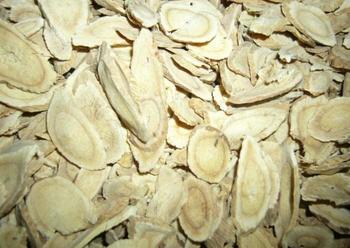 Astragalus variety of plant forms