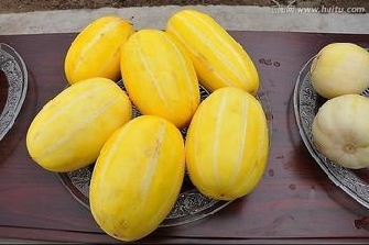 The nutritional value of muskmelon