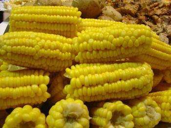 How to use corn seed fertilizer correctly