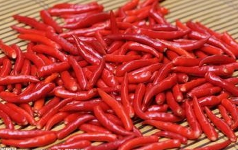 What are the benefits of eating chili