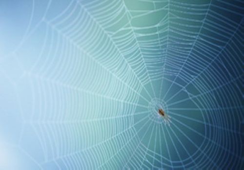 Spiber plans to produce synthetic spider silk