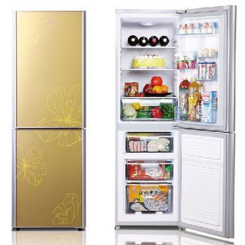 Can 2013 become the turning point in the refrigerator industry?