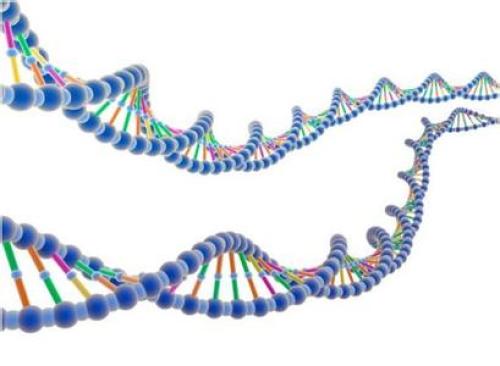 The past, present and future of molecular diagnosis