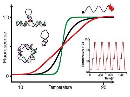 Nano temperature monitoring will be realized in the future