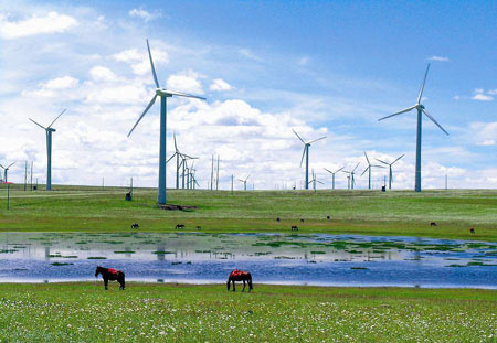 Temporary Act on Acceptance Management of Wind Farm Projects