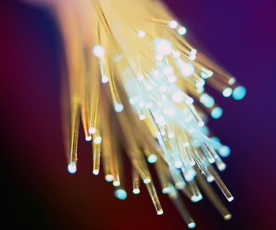 China's Fiber Market Develops Strongly in the First Quarter