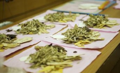 British ban does not hinder the development of the Chinese medicine industry
