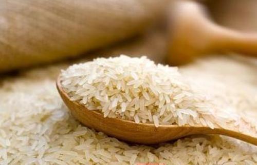 Hubei sent a working group to investigate genetically modified rice