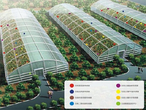 Greenhouse temperature and humidity monitoring system promotes agricultural development