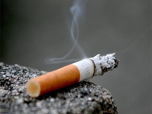 WHO report: 1 person died of tobacco every 6 seconds